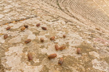 View down on the seats of Epidavros Theatre, Ancient Greece
