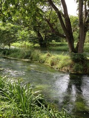 river at Diao Wasabi Farm Nagano Japan