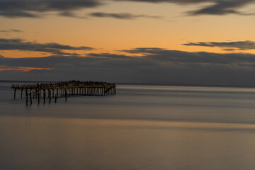 Muelle Punta Arenas