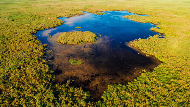 Aerial view over Sacalin Island from Danube Delta in Romania. Amazing landmark of Romania.