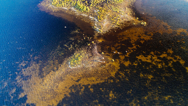 Aerial view over Sacalin Island from Danube Delta in Romania. Amazing landmark of Romania.