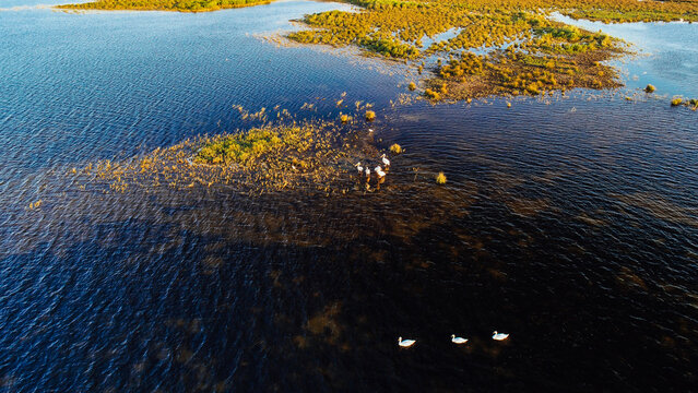 Aerial view over Sacalin Island from Danube Delta in Romania. Amazing landmark of Romania.