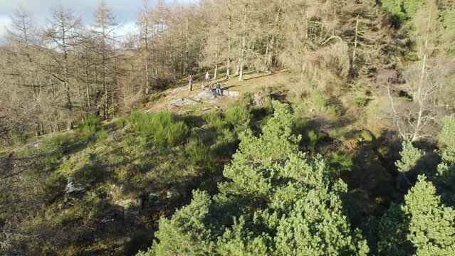 Fast aerial drone footage flying slowly away from people on a cliff to reveal a native forest on top of a mountain with Scots pine and larch trees at Polney Crag (Craig a Barns) near Dunkeld Scotland