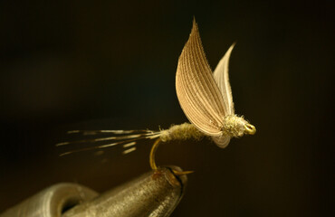 フライタイイング