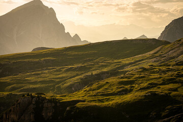 Naklejka premium landscape in the morning