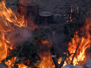 Orange flame of campfire.Siberia. Altay region, Russia