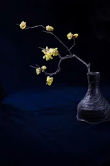 Fotobehang 黄色でほのかに香る可愛い冬の花、蝋梅を写しました。 © SYUUHOU