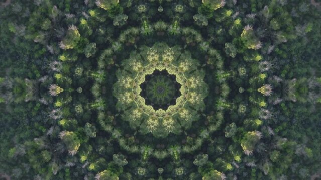 Circular mandala abstract kaleidoscopic green forest pattern