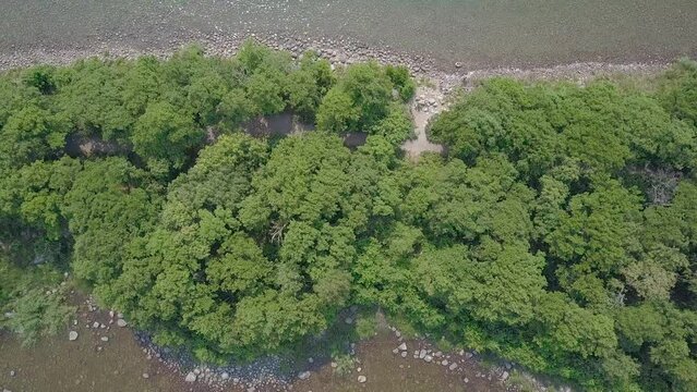 Narrow lush island drone ascend on top to reveal the water