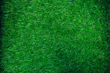 Green Grass Texture