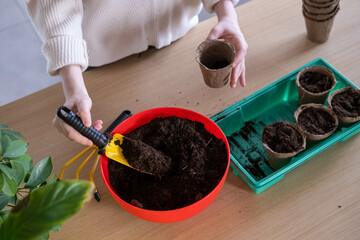 Top view of the hands of a young woman planting seeds at home. A gardener plants seeds in peat pots in the ground on a wooden table.