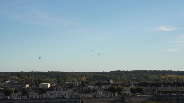Birds flying over Loire river in Blois france in French countryside slow motion 4k 30p