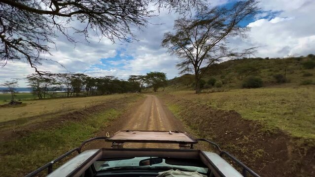 POV From Safari Off-road Vehicle Driving In Dirt Road At Lake Nakuru National Park In Kenya.