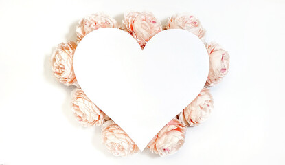 Flowers composition from pink flowers in the form of a heart on white background. Spring, summer template for your projects