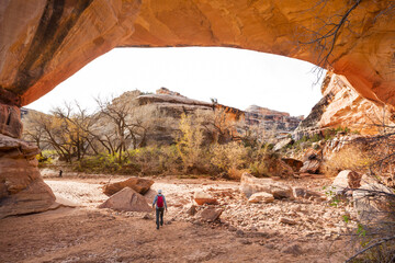 Natural bridges