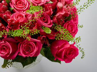 bouquet of blooming dark red roses on a white background