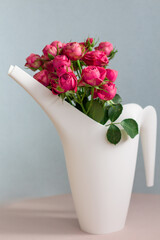 bouquet of pink roses isolated, garden's flowers are in a watering can closeup