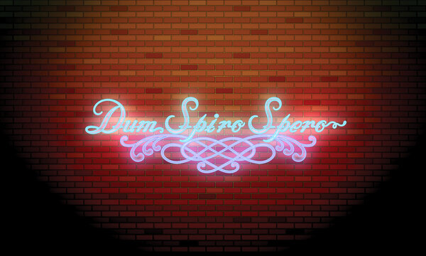 neon alphabet design dum spiro spero wings brick background