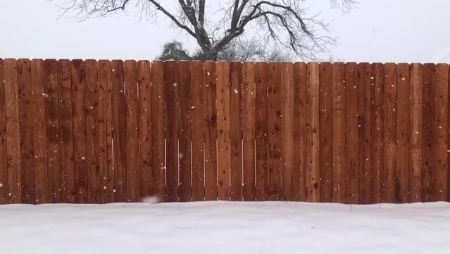Snow falling in slow motion with a fence and pecan tree.