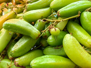 averrhoa bilimbi with soft focus image.