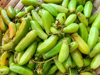 averrhoa bilimbi with soft focus image.