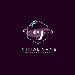 EY Beautiful handwriting logo or wedding monograms collection