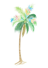 isolated palm tree watercolor illustration, isolated nature on white background