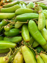 averrhoa bilimbi with soft focus image.