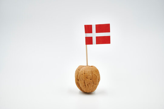 Einzelne Walnuss trägt dänische Flagge Danebrog