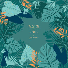 Tropical palm leaves background. Jungle spirit. Frame with fern, monstera and other leaves.