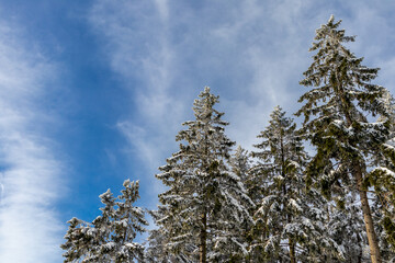 Eine weitere Winterwanderung entlang des Rennsteigs im schönsten Winterwunderland - Deutschland