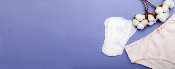 women's briefs with cotton and panty liners . hygiene and women's health care concept