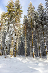 Eine weitere Winterwanderung entlang des Rennsteigs im schönsten Winterwunderland - Deutschland