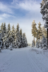 Eine weitere Winterwanderung entlang des Rennsteigs im schönsten Winterwunderland - Deutschland