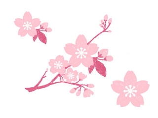 クレヨンタッチの桜の花のイラストセット