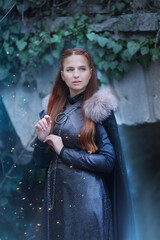 queen of the north.princess in the fantasy land of game of thrones