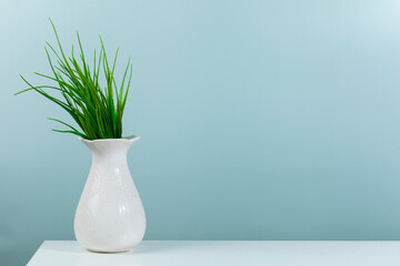Green plant in a white vase on a green background