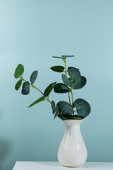 Green plant in a white vase on a green background