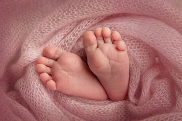 The tiny foot of a newborn. Soft feet of a newborn in a pink woolen blanket. Close up of toes, heels and feet of a newborn baby. Studio Macro photography. Woman's happiness.