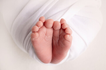 The tiny foot of a newborn. Soft feet of a newborn in a white blanket and on a white background. Close up of toes, heels and feet of a newborn baby. Studio Macro photography. Woman's happiness