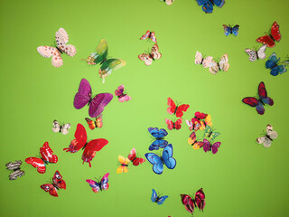 Obraz premium Butterflies on the wall green background colors , children's imagination