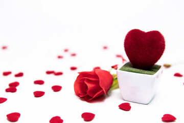 red rose and fabric heart decoration isolated on white. concept of valentine's day.