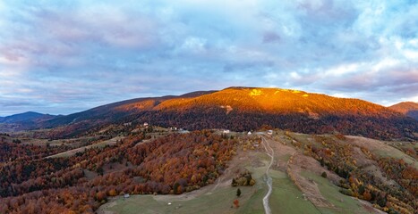 Mountainous polonyna with colorful trees at sunlight