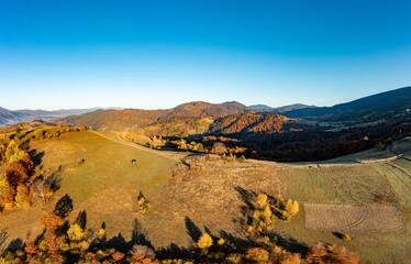 Mountainous polonyna with colorful trees at sunlight