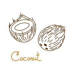 Coconut, coco, cocoanut, cokernut hand drawn graphics element for packaging design of nuts or snack. Vector illustration in line art style - 482562116