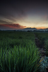 sunset over the mountains