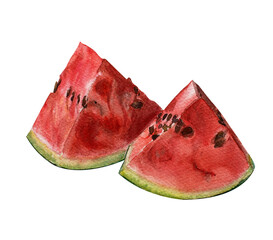 Red sweet juicy watermelon slices with green textured crust and black seeds