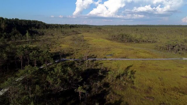 Aerial of Riisa bog in Soomaa, Estonia during summer