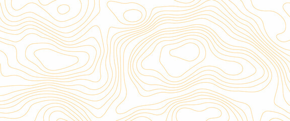 Abstract topographic map background with height lines, Vector contour topographic map background, Vector illustration of topographic line contour map, gold-white design, Luxury gold abstract line art.