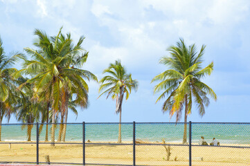 Obraz na płótnie Canvas I brought you the beach views of the Palamuna area.